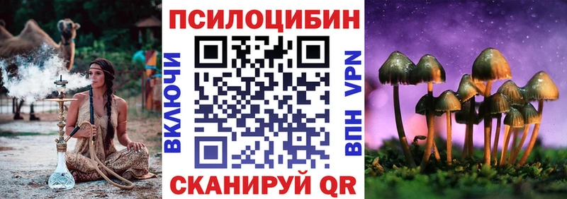 Галлюциногенные грибы Psilocybe  Татарск 