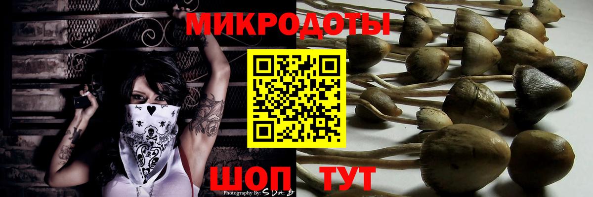 Татарск  Галлюциногенные грибы Psilocybe  Вход с VPN 